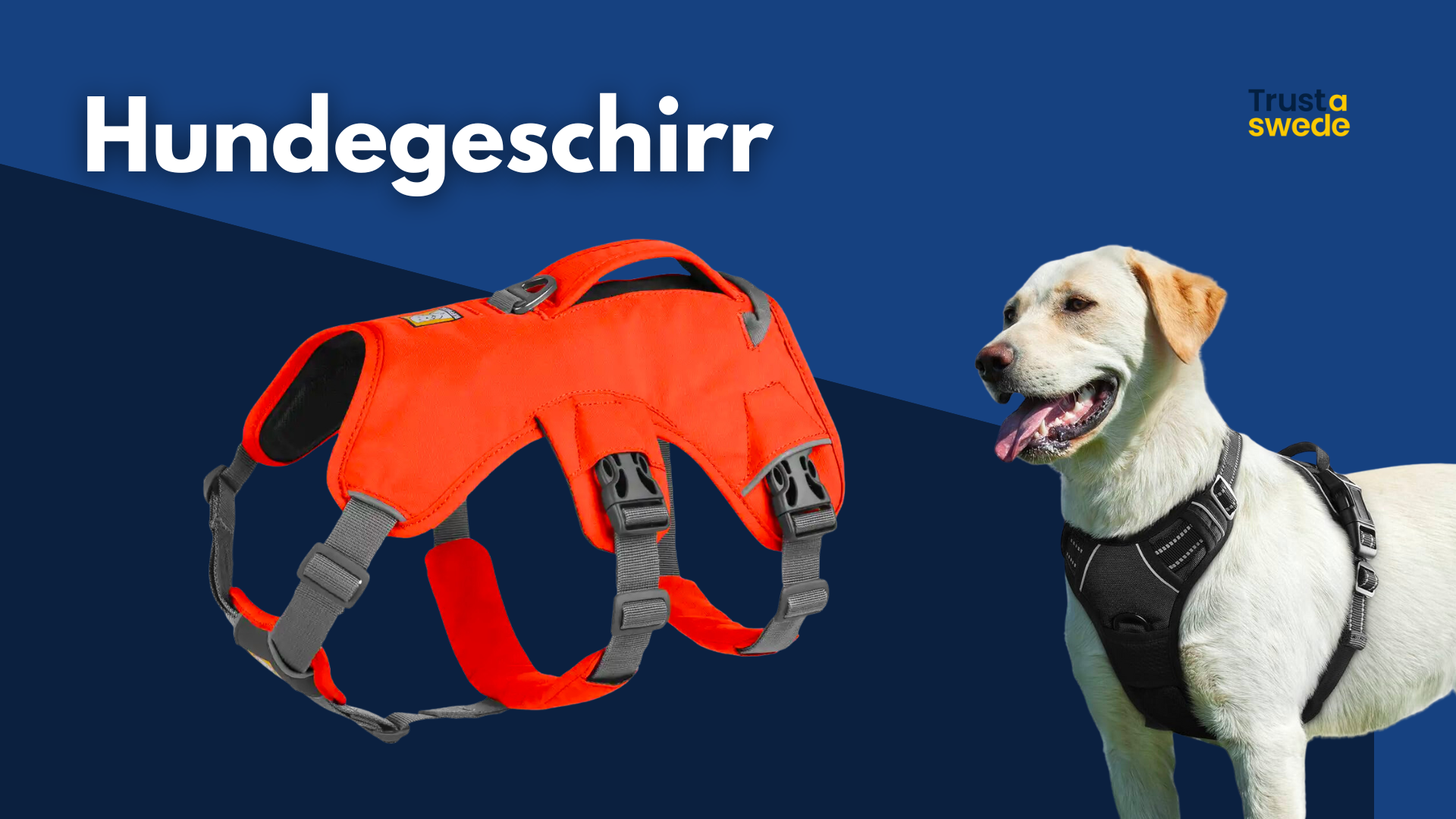 Hundegeschirr thumbnail