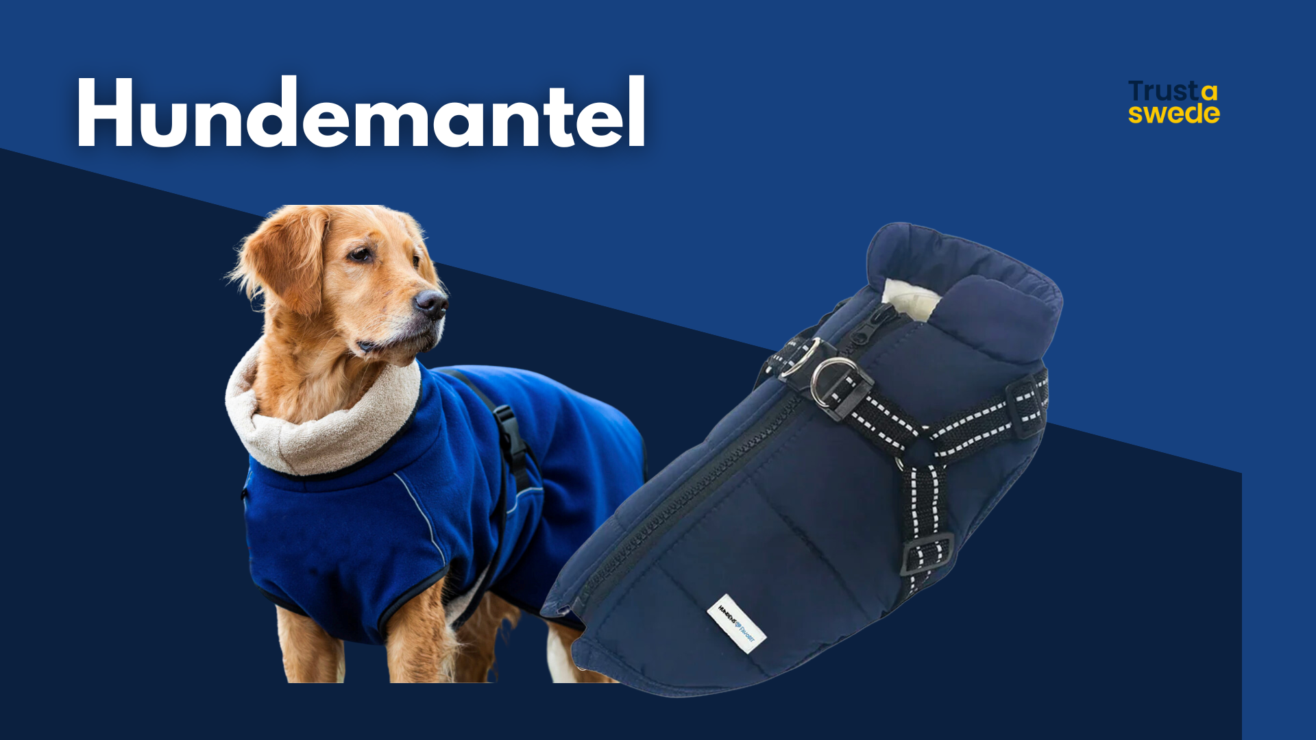 Hundemantel thumbnail