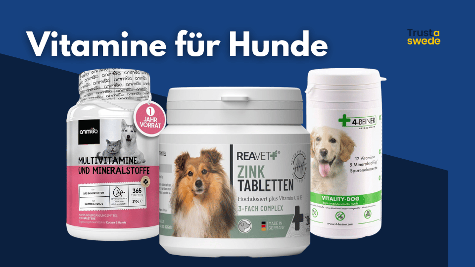 Vitamine für Hunde thumbnail