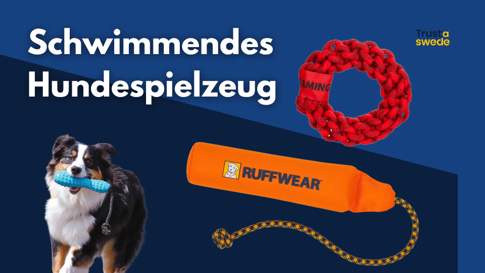 Schwimmendes Hundespielzeug thumbnail